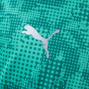 Camisa Palmeiras Treino 2026/27 Jogador
