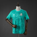 Camisa Palmeiras Treino 2026/27 Jogador