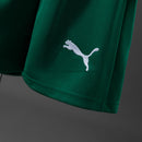 Conjunto Infantil Palmeiras 26/27